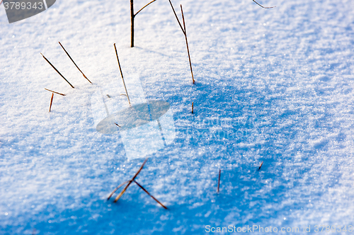 Image of Snow in new year