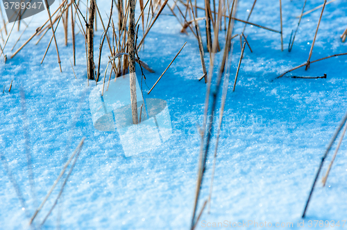 Image of Snow in new year