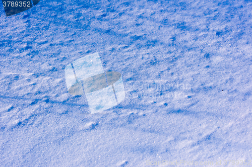 Image of Snow in new year