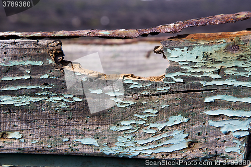 Image of texture in spain lanzarote abstract green brown 