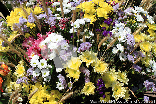 Image of color flowers background