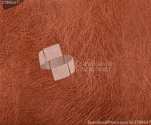 Image of leather surface