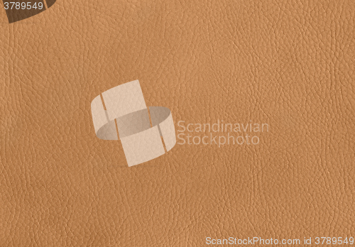 Image of leather surface