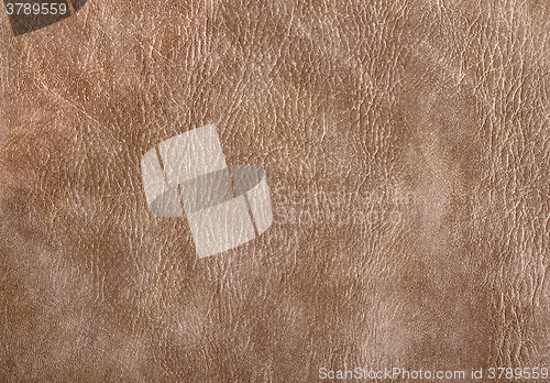 Image of leather surface