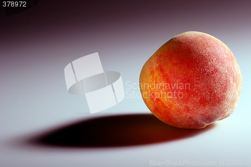 Image of Peach and his Shade