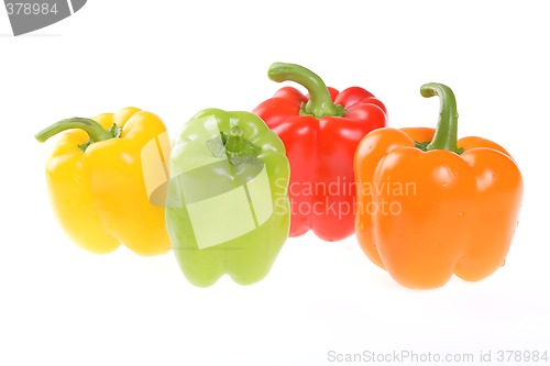 Image of Vegetables, Bulgarian Pepper