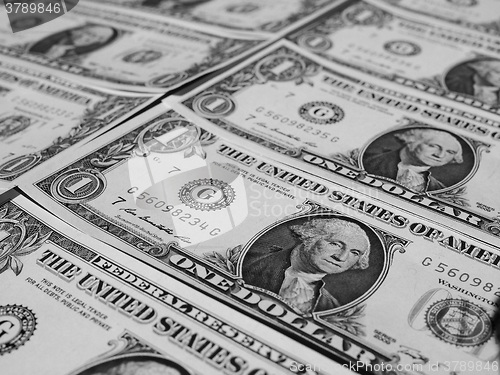 Image of Black and white Dollar notes 1 Dollar