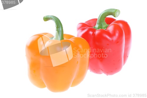 Image of Vegetables, Bulgarian Pepper