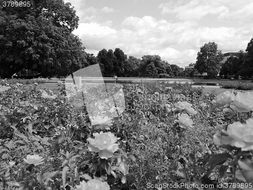 Image of Gardens in Stuttgart Germany