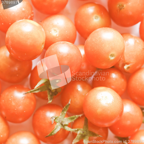Image of Retro looking Tomato