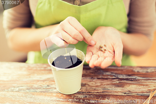 Image of close up of woman sowing seeds to soil in pot