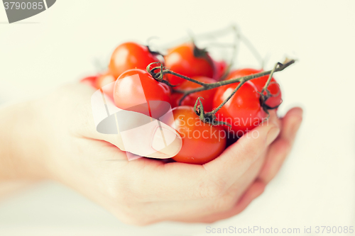 Image of close up of woman hands holding cherry tomatoes