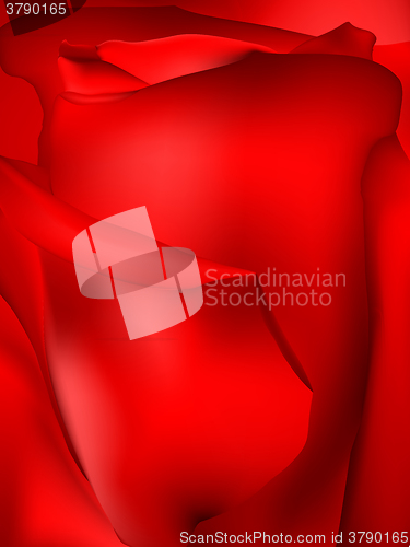 Image of Beautiful red rose isolated on white. EPS 10