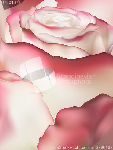 Image of Pink rose macro. EPS 10 