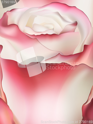 Image of Pink rose macro. EPS 10 