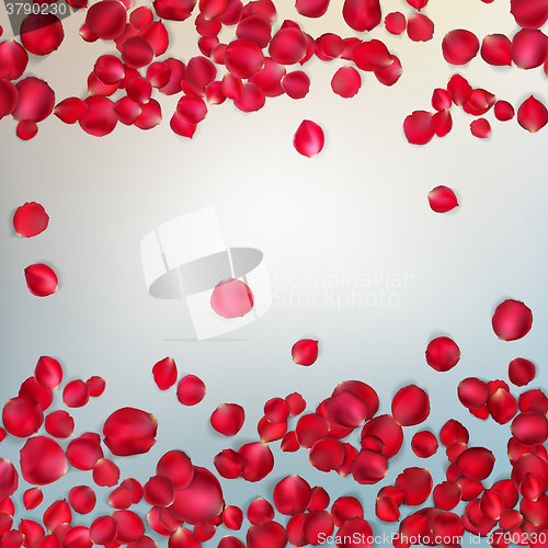 Image of Red rose petals. EPS 10