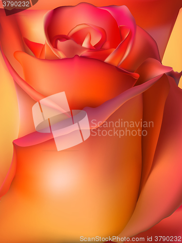 Image of Orange rose macro. EPS 10 
