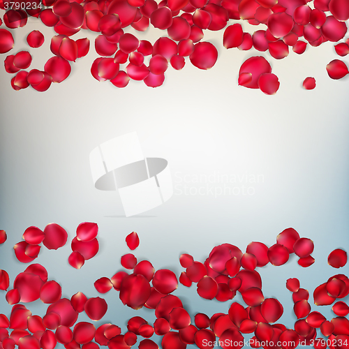 Image of Red rose petals. EPS 10