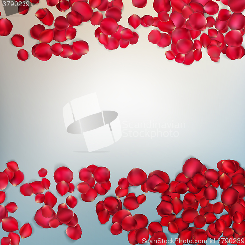 Image of Red rose petals. EPS 10