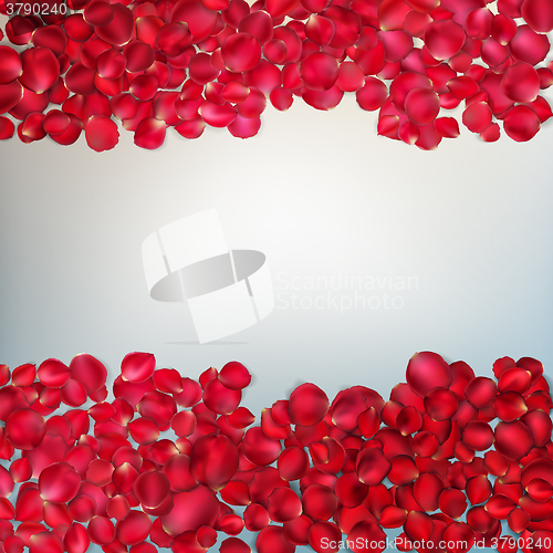 Image of Red rose petals. EPS 10