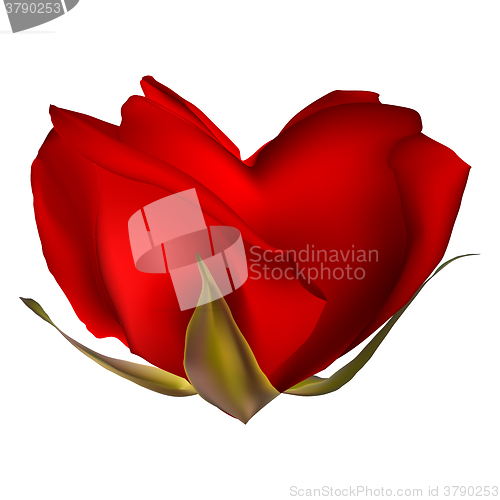 Image of Stylish red rose isolated on white. EPS 10