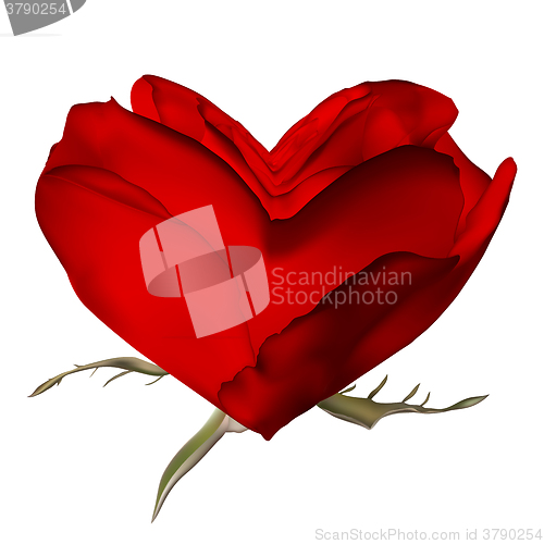 Image of Stylish red rose isolated on white. EPS 10