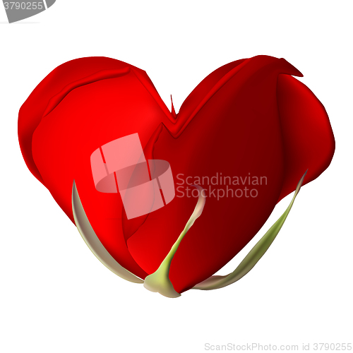 Image of Red rose-heart on the white background. EPS 10