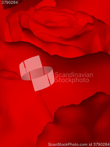 Image of Close up of red rose with petals. EPS 10