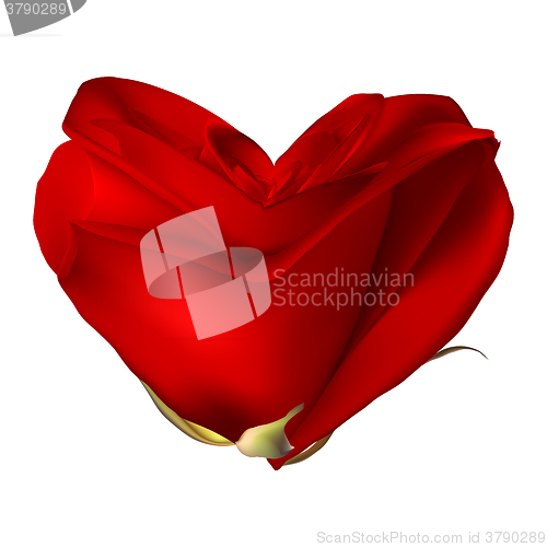 Image of Red valentine heart made with rose flower. EPS 10