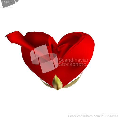 Image of Red rose in the shape of heart. EPS 10