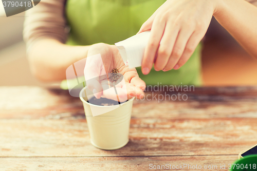 Image of close up of woman sowing seeds to soil in pot