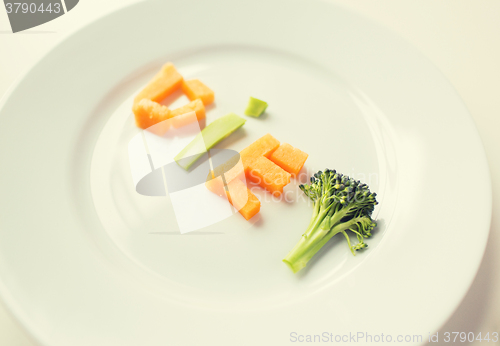 Image of close up of plate with vegetable diet letters