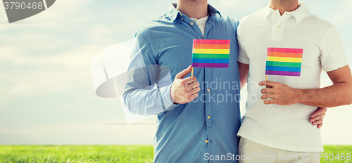 Image of close up of male gay couple holding rainbow flags