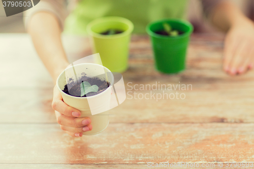 Image of close up of woman hand holding pot with sprout