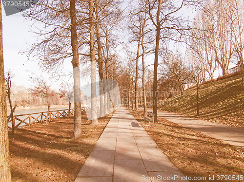 Image of Path among trees vintage