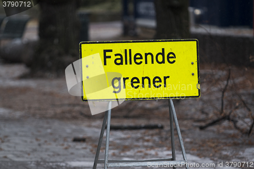 Image of Falling Branches