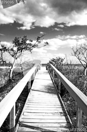 Image of Bridge to the beach