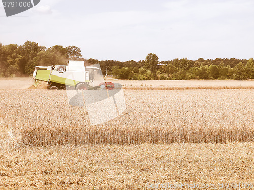 Image of  Harvest vintage