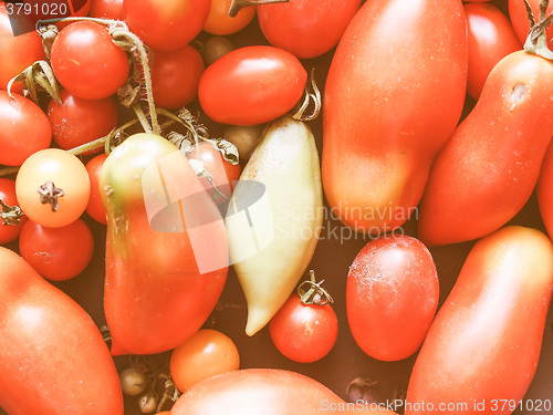 Image of Retro looking Tomato vegetable
