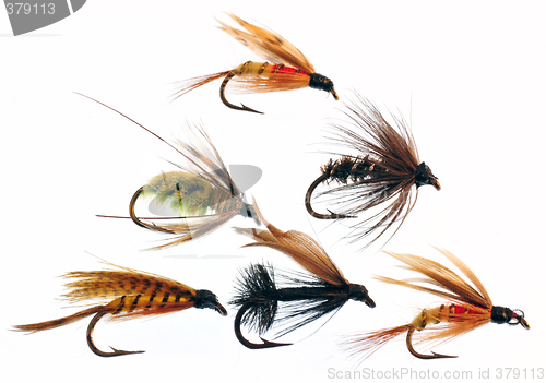 Image of Fly fishing lures