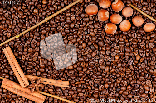 Image of Coffee beans and filberts