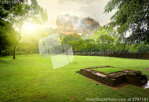 Image of Meadow near Sigiriya