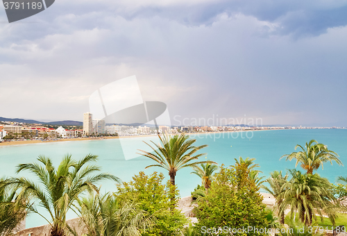 Image of View over the palm trees and coastline of Peniscola, Spain