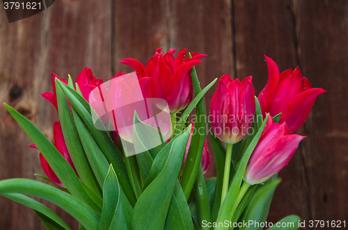 Image of Red tulips boquet