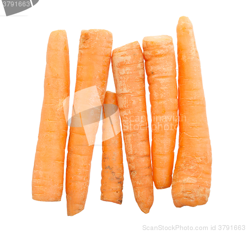 Image of Fresh carrots isolated