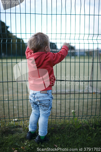 Image of Little boy peering through a wire fence
