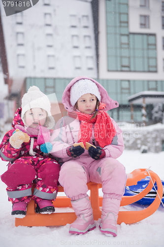 Image of portrait of two little girls sitting together on sledges