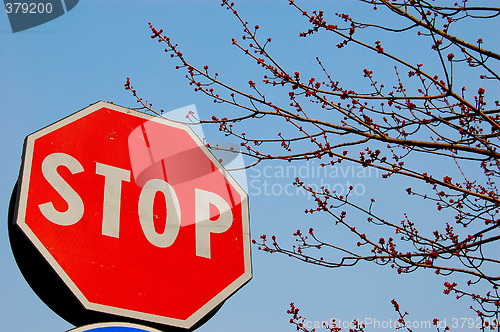Image of auto sign,stop ,2