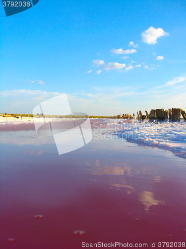 Image of landscape with salty sea in Sivash