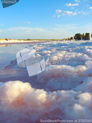 Image of landscape with salty sea in Sivash